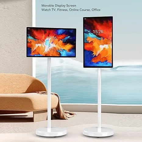 Transportable television